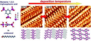 Graphical abstract: Role of the deposition temperature on the self-assembly of the non-planar molecule benzene-1,3,5-triphosphonic acid (BTP) at the liquid–solid interface