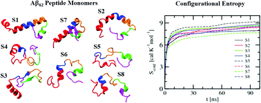 Graphical abstract: Conformational features of the Aβ42 peptide monomer and its interaction with the surrounding solvent