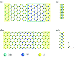 Graphical abstract: Multifunctional heterostructures constructed using MoS2 and WS2 nanoribbons