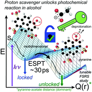 Graphical abstract: Ultrafast intermolecular proton transfer to a proton scavenger in an organic solvent