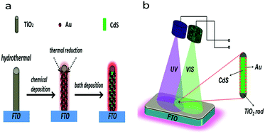 Graphical abstract: Weakened negative effect of Au/TiO2 photocatalytic activity by CdS quantum dots deposited under UV-vis light illumination at different intensity ratios