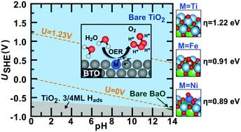 Graphical abstract: Reduced overpotentials for electrocatalytic water splitting over Fe- and Ni-modified BaTiO3
