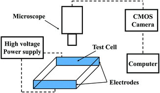 Graphical abstract: Effect of electric field non-uniformity on droplets coalescence