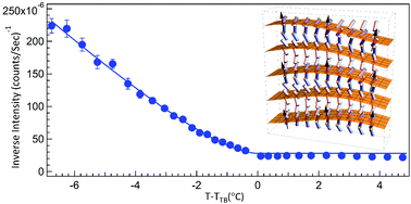 Graphical abstract: Light scattering study of the “pseudo-layer” compression elastic constant in a twist-bend nematic liquid crystal