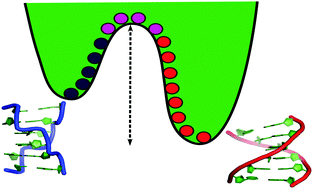Graphical abstract: Probing helical transitions in a DNA duplex