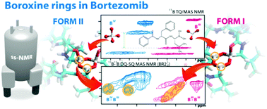 Graphical abstract: An efficient 2D 11B–11B solid-state NMR spectroscopy strategy for monitoring covalent self-assembly of boronic acid-derived compounds: the transformation and unique architecture of bortezomib molecules in the solid state