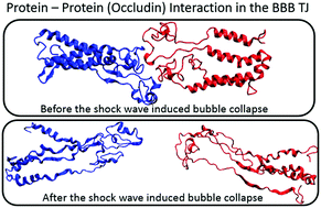 Graphical abstract: Nanobubbles, cavitation, shock waves and traumatic brain injury