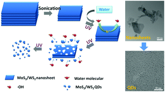 Graphical abstract: Oxidative etching of MoS2/WS2 nanosheets to their QDs by facile UV irradiation