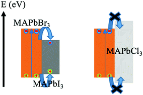 Graphical abstract: An optical dynamic study of MAPbBr3 single crystals passivated with MAPbCl3/I3-MAPbBr3 heterojunctions