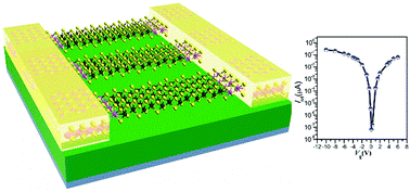 Graphical abstract: Electronic structures and transport properties of a MoS2–NbS2 nanoribbon lateral heterostructure