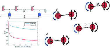 Graphical abstract: A new approach to distance measurements between two spin labels in the >10 nm range