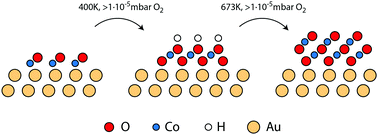 Graphical abstract: Gold-supported two-dimensional cobalt oxyhydroxide (CoOOH) and multilayer cobalt oxide islands