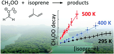 Graphical abstract: Direct experimental probing and theoretical analysis of the reaction between the simplest Criegee intermediate CH2OO and isoprene