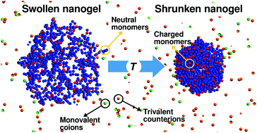 Graphical abstract: Competition between excluded-volume and electrostatic interactions for nanogel swelling: effects of the counterion valence and nanogel charge