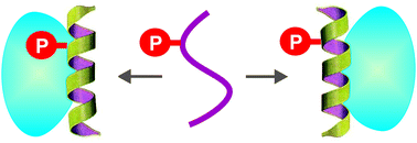 Graphical abstract: The principle of conformational signaling