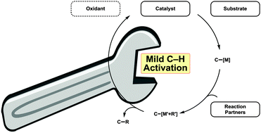 Graphical abstract: Mild metal-catalyzed C–H activation: examples and concepts