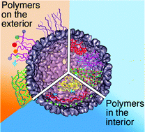 Graphical abstract: Protein cages and synthetic polymers: a fruitful symbiosis for drug delivery applications, bionanotechnology and materials science
