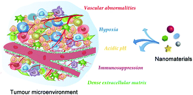 Graphical abstract: Nanoparticle design strategies for enhanced anticancer therapy by exploiting the tumour microenvironment