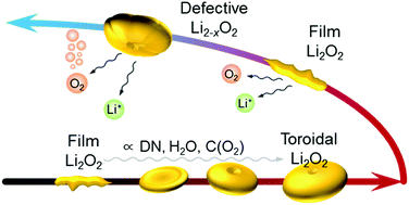 Graphical abstract: Reaction chemistry in rechargeable Li–O2 batteries