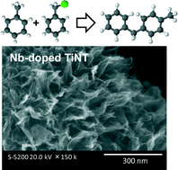 Graphical abstract: Synthesis of niobium-doped titanate nanotubes as solid acid catalysts