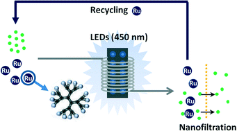 Graphical abstract: Visible-light photoredox catalysis using a macromolecular ruthenium complex: reactivity and recovery by size-exclusion nanofiltration in continuous flow