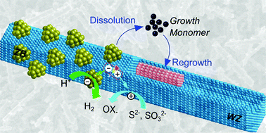 Graphical abstract: Transformation of zincblende nanoparticles into wurtzite microrods by a dissolution–regrowth process: an intergrowth homojunction with enhanced photocatalytic activity