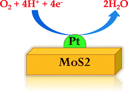 Graphical abstract: Size-selective electrocatalytic activity of (Pt)n/MoS2 for oxygen reduction reaction