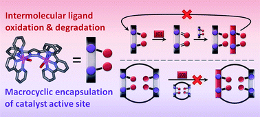 Graphical abstract: Incorporation of a ruthenium–bis(pyridine)pyrazolate (Ru–bpp) water oxidation catalyst in a hexametallic macrocycle