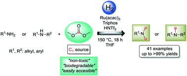 Graphical abstract: A general protocol for the reductive N-methylation of amines using dimethyl carbonate and molecular hydrogen: mechanistic insights and kinetic studies