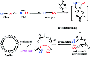 Graphical abstract: Insights into the mechanism for ring-opening polymerization of lactide catalyzed by Zn(C6F5)2/organic superbase Lewis pairs