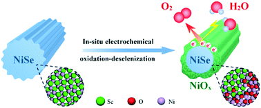 Graphical abstract: In situ electrochemical formation of NiSe/NiOx core/shell nano-electrocatalysts for superior oxygen evolution activity