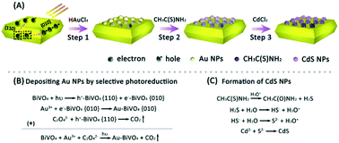Graphical abstract: Z-scheme CdS–Au–BiVO4 with enhanced photocatalytic activity for organic contaminant decomposition