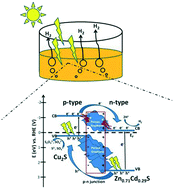Graphical abstract: p-Cu2S/n-ZnxCd1−xS nanocrystals dispersed in a 3D porous graphene nanostructure: an excellent photocatalyst for hydrogen generation through sunlight driven water splitting
