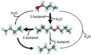 Graphical abstract: Mechanistic insights into the formation of butene isomers from 1-butanol in H-ZSM-5: DFT based microkinetic modelling