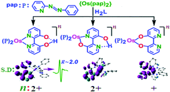 Graphical abstract: Impact of {Os(pap)2} in fine-tuning the binding modes and non-innocent potential of deprotonated 2,2′-bipyridine-3,3′-diol