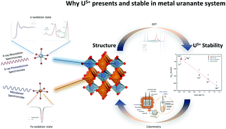 Graphical abstract: U(v) in metal uranates: a combined experimental and theoretical study of MgUO4, CrUO4, and FeUO4