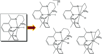 Graphical abstract: Isolation of a bis(imino)pyridine molybdenum(i) iodide complex through controlled reduction and interconversion of its reaction products