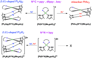 Graphical abstract: Different structural preference of Ag(i) and Au(i) in neutral and cationic luminescent heteropolynuclear platinum(ii) complexes: Z (U)-shaped Pt2M2 type vs. trinuclear PtM2 type