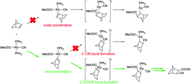 Graphical abstract: The molecular mechanism of palladium-catalysed cyanoesterification of methyl cyanoformate onto norbornene
