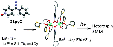 Graphical abstract: 3- and 4-(α-diazobenzyl)pyridine-N-oxides as photoresponsive magnetic couplers for 2p–4f heterospin systems: formation of carbene–TbIII and carbene–DyIII single-molecule magnets