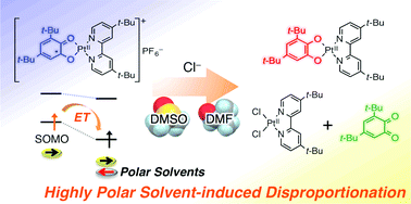 Graphical abstract: Highly polar solvent-induced disproportionation of a cationic Pt(ii)–diimine complex containing an o-semiquinonato