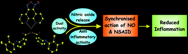 Graphical abstract: Anti-inflammatory activity and enhanced COX-2 selectivity of nitric oxide-donating zinc(ii)–NSAID complexes