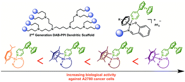 Graphical abstract: Regulating the anticancer properties of organometallic dendrimers using pyridylferrocene entities: synthesis, cytotoxicity and DNA binding studies