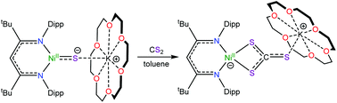 Graphical abstract: Activation of CS2 by a “masked” terminal nickel sulfide