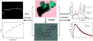 Graphical abstract: Synthesis, structure, and biological evaluation of a copper(ii) complex with fleroxacin and 1,10-phenanthroline