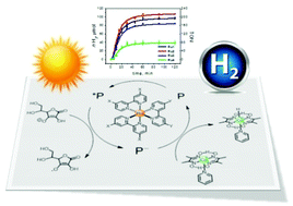 Graphical abstract: Photocatalytic hydrogen evolution with ruthenium polypyridine sensitizers: unveiling the key factors to improve efficiencies