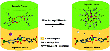 Graphical abstract: Water-soluble Schiff base-actinyl complexes and their effect on the solvent extraction of f-elements