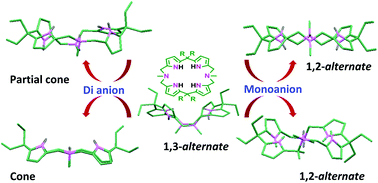 Graphical abstract: Synthesis and structural characterization of anion complexes with azacalix[2]dipyrrolylmethane: effect of anion charge on the conformation of the macrocycle