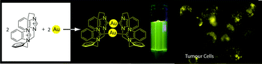 Graphical abstract: Dinuclear Au(i) N-heterocyclic carbene complexes derived from unsymmetrical azolium cyclophane salts: potential probes for live cell imaging applications