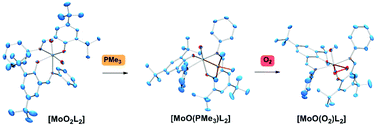 Graphical abstract: Oxygen activation and catalytic aerobic oxidation by Mo(iv)/(vi) complexes with functionalized iminophenolate ligands